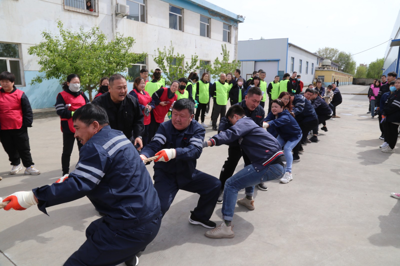 1683766059186075.jpg 1683766059186075.jpg